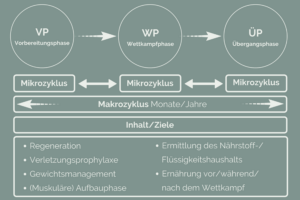 ernaehrungsperiodisierung-blog-sporternaehrung